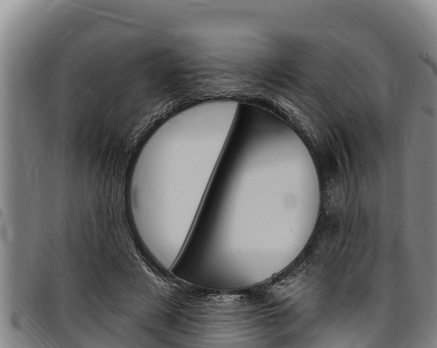 X0000097510497200802220908