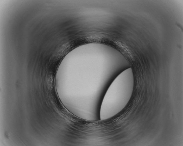 X0000097510498200802220908
