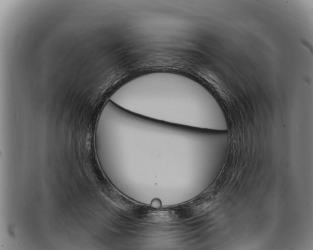 X0000097510499200802220908