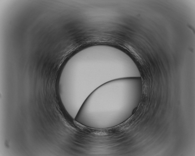 X0000097510500200802220908
