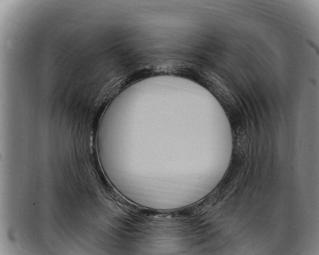 X0000097510502200802220908