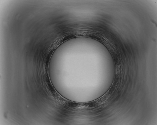 X0000097510504200802220908