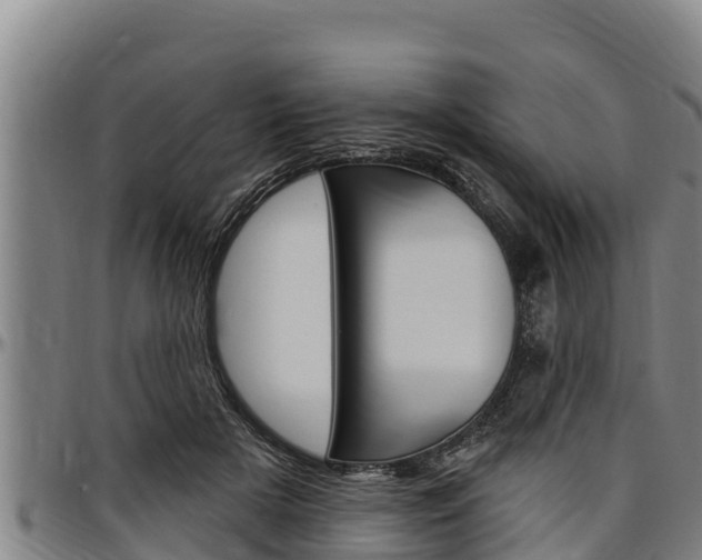 X0000097510505200802220908