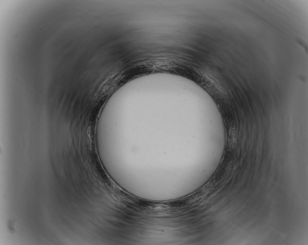 X0000097510506200802220908
