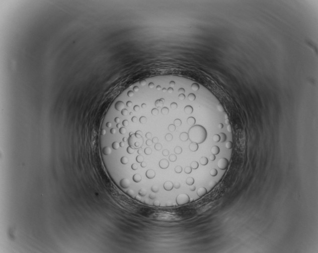 X0000097510507200802220908