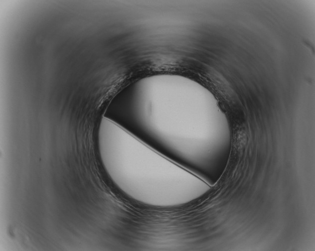 X0000097510508200802220908