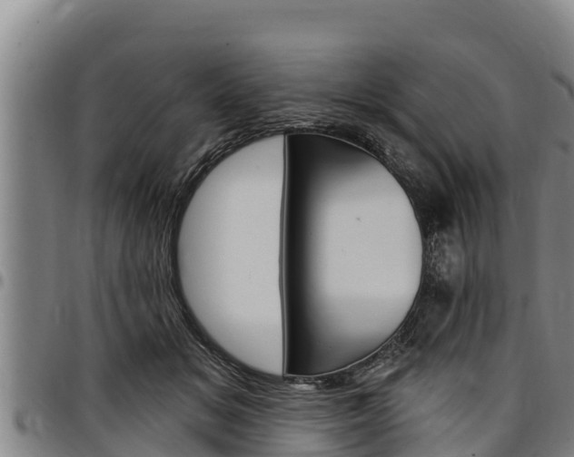 X0000097510509200802220908