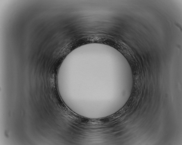 X0000097510510200802220908