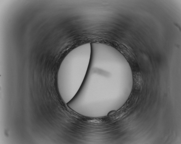 X0000097510511200802220908