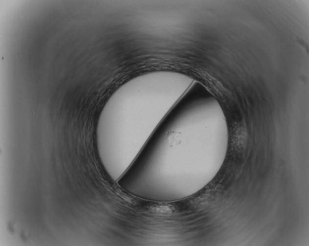 X0000097510513200802220908