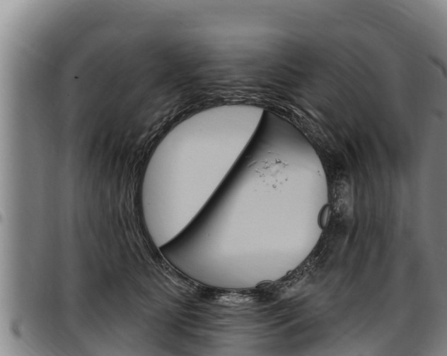 X0000097510515200802220908