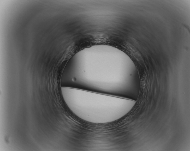 X0000097510516200802220908
