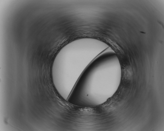 X0000097510517200802220908