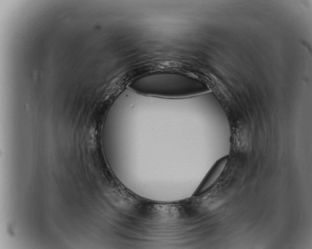 X0000097510520200802220907