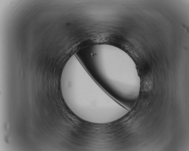 X0000097510521200802220907