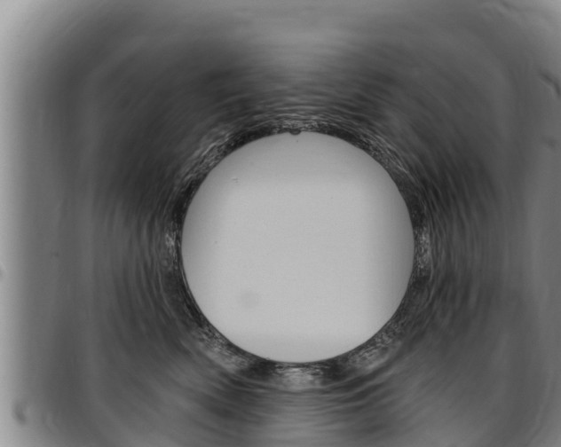 X0000097510522200802220907