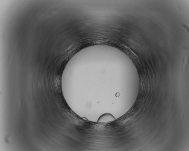 X0000097510523200802220907