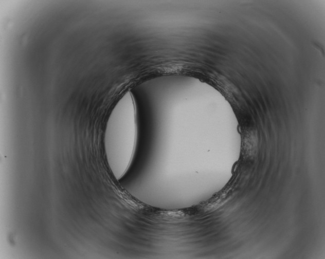 X0000097510525200802220907
