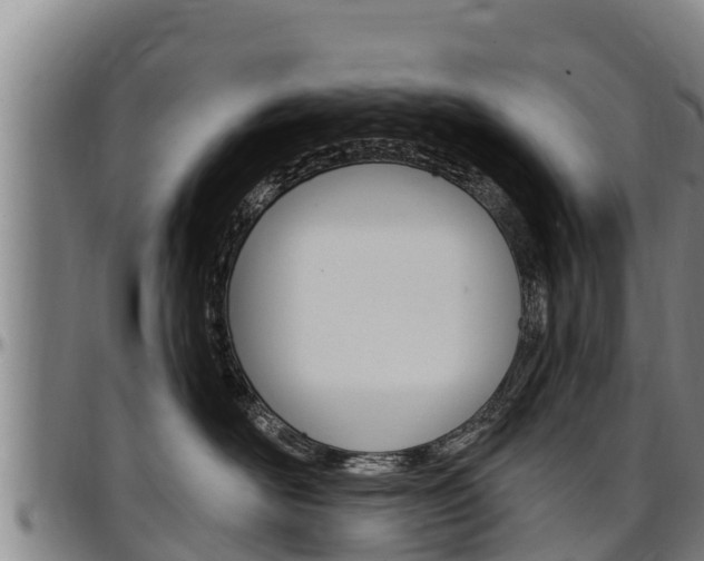 X0000097510526200802220907