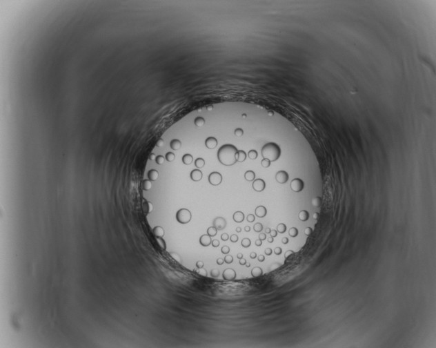 X0000097510527200802220907