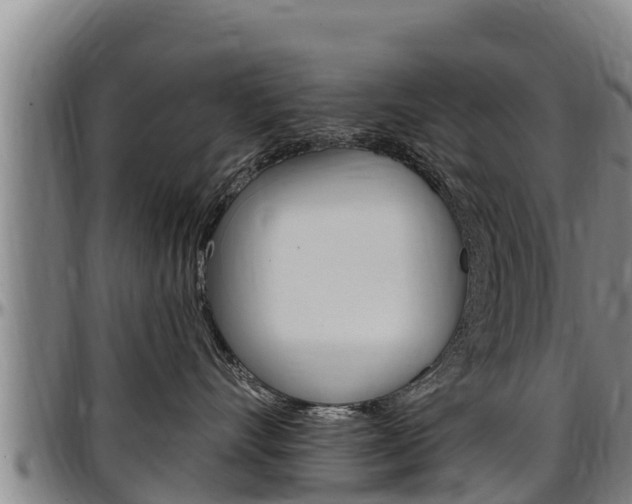X0000097510528200802220907