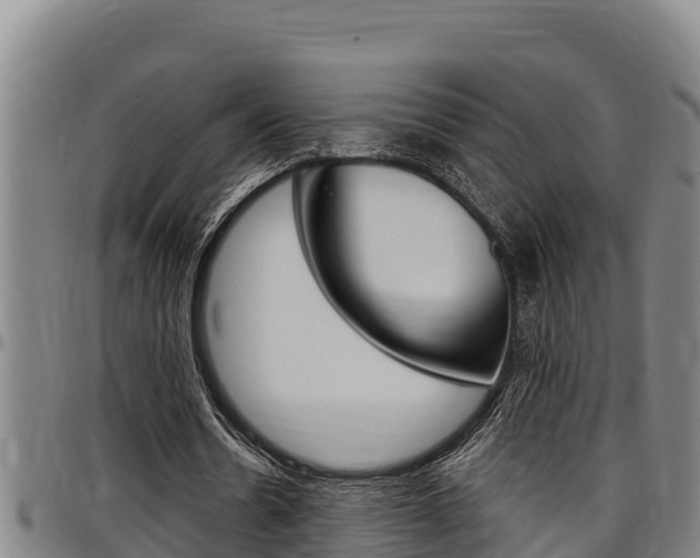 X0000097510530200802220907