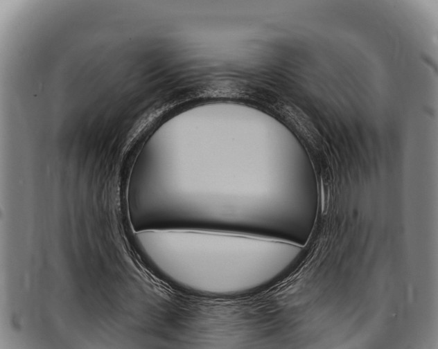 X0000097510531200802220907