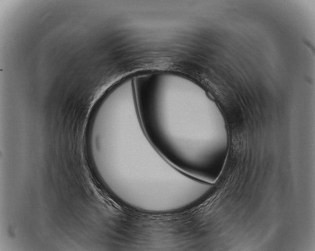 X0000097510532200802220907