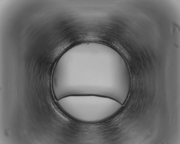 X0000097510533200802220907