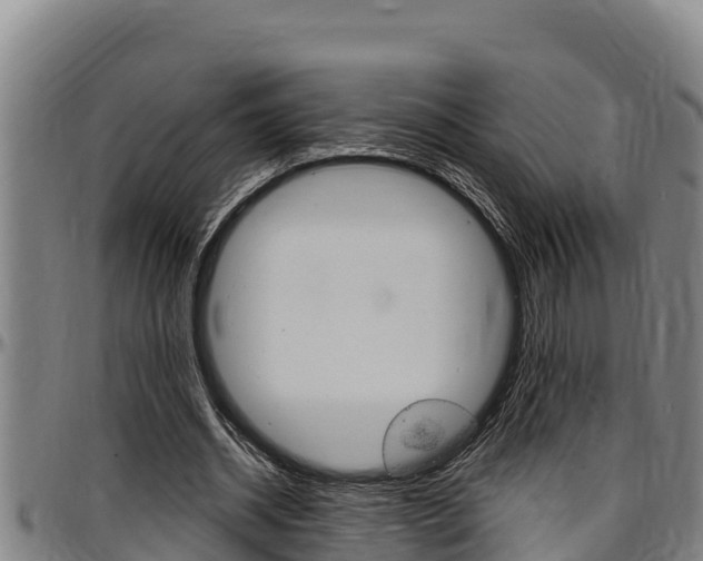 X0000097510534200802220907