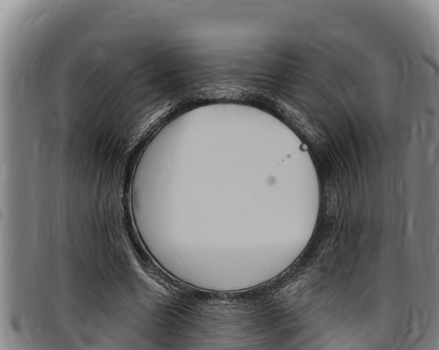 X0000097510538200802220907
