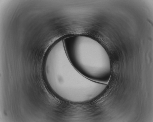 X0000097510540200802220907
