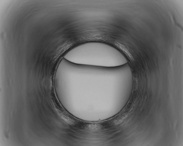 X0000097510541200802220907