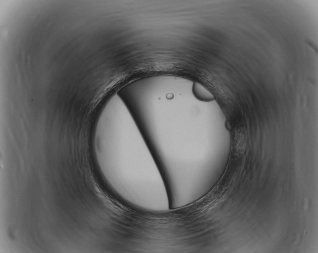X0000097510542200802220907