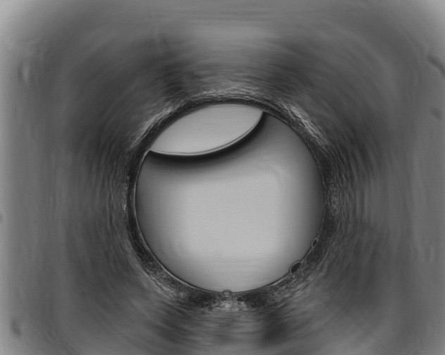 X0000097510543200802220907