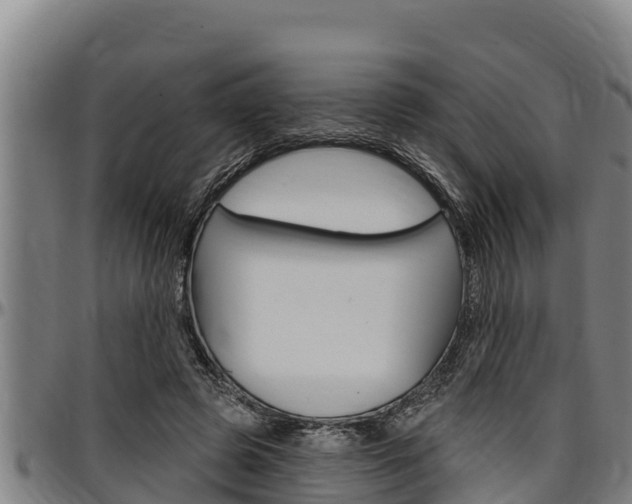 X0000097510545200802220907