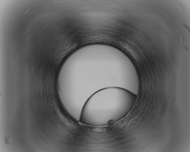 X0000097510546200802220907