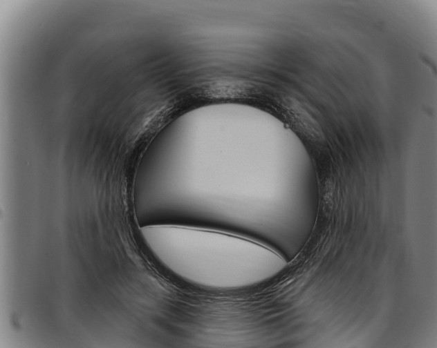 X0000097510547200802220907