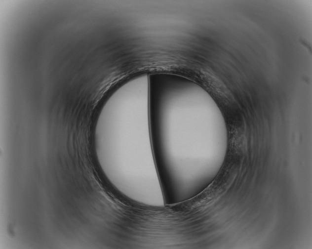 X0000097510548200802220907