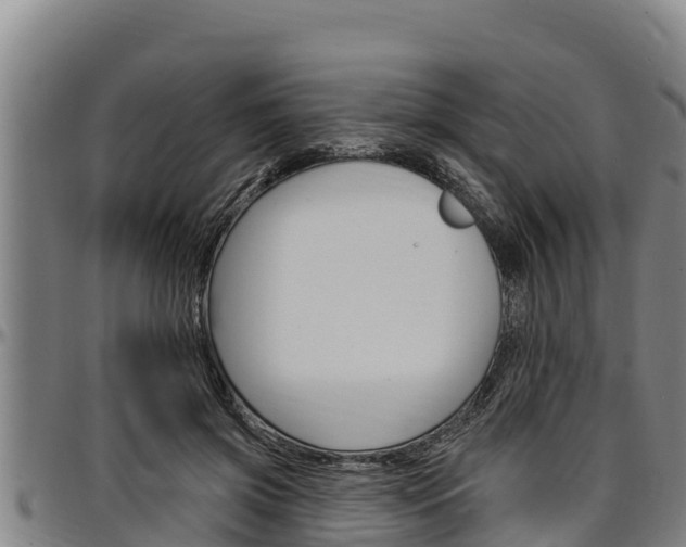 X0000097510549200802220907