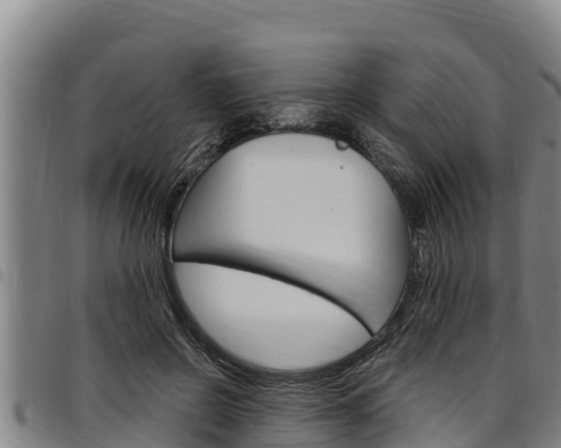 X0000097510550200802220907