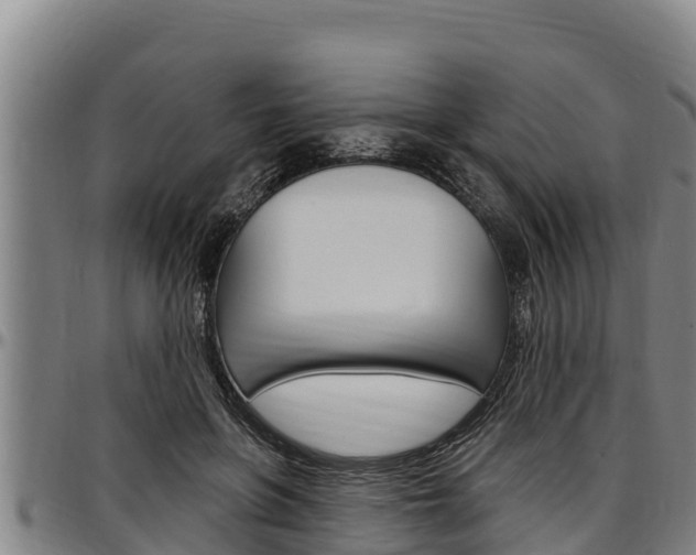 X0000097510551200802220907