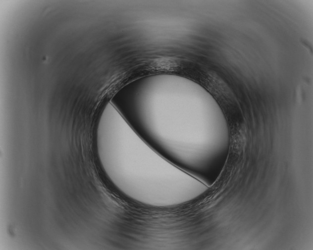 X0000097510552200802220907
