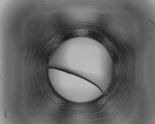 X0000097510553200802220907