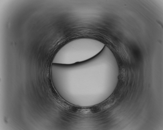 X0000097510554200802220907