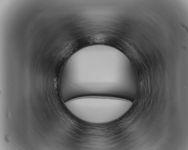 X0000097510555200802220907