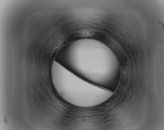 X0000097510556200802220907