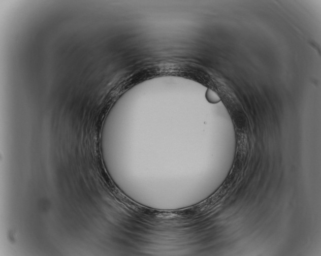 X0000097510557200802220907