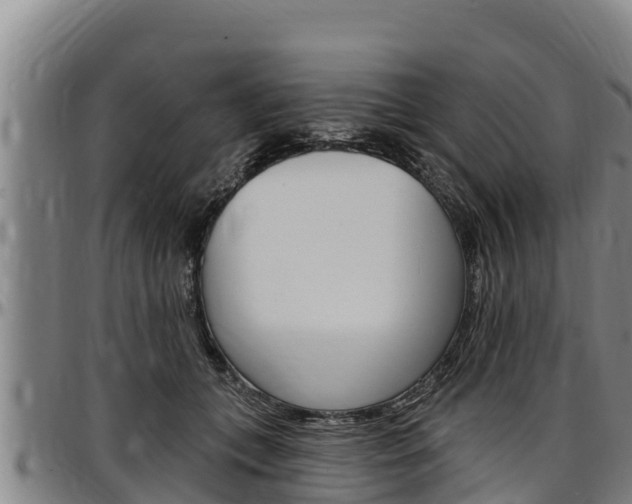 X0000097510559200802220907