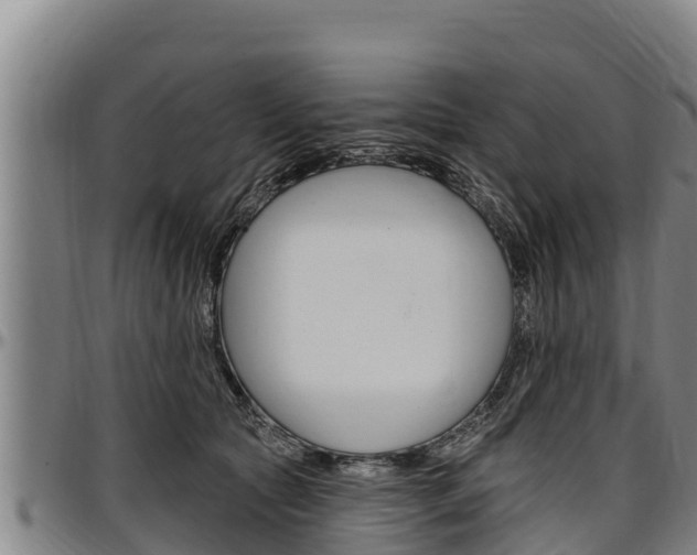 X0000097510561200802220907